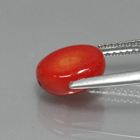 Coral Gemstone in 9.1 x 7.9 mm Size for Sale, Coral Stone in Salmon Color