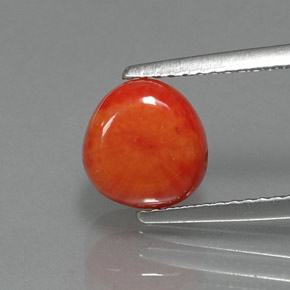 2.25 ct Pink Coral Gemstone, Coral Gem in Drilled Flat Cut Shape for Sale.