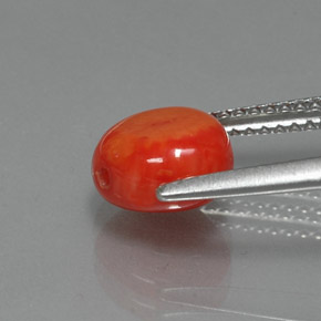 Coral Gemstone in 7.9 x 7.7 mm Size for Sale, Coral Stone in Salmon Color