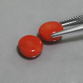 Coral Gemstone in 8.3 x 7.8 mm Size for Sale, Coral Stone in Salmon Color