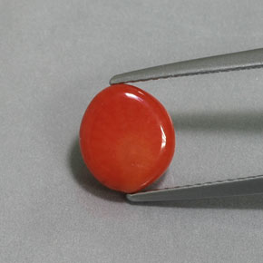 2.12 ct Pink Coral Gemstone, Coral Gem in Drilled Flat Cut Shape for Sale.