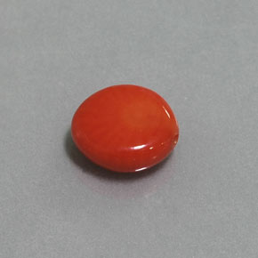 2.12 ct Pink Coral Stone, Natural Coral in Drilled Flat Cut Shape for Sale