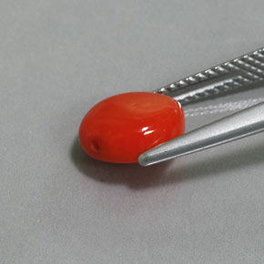 Coral Gemstone in 8.8 x 7.8 mm Size for Sale, Coral Stone in Salmon Color