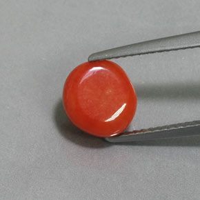 2.41 ct Pink Coral Gemstone, Coral Gem in Drilled Flat Cut Shape for Sale.