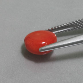 Coral Gemstone in 8.4 x 7.8 mm Size for Sale, Coral Stone in Salmon Color