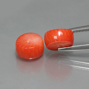 Coral Gemstone in 8.4 x 4.5 mm Size for Sale, Coral Stone in Salmon Color