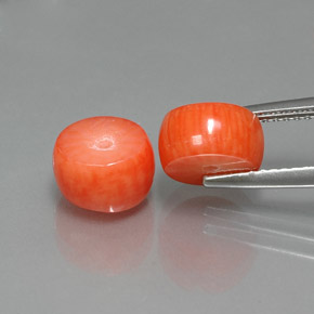 Coral Gemstone in 8.2 x 4.7 mm Size for Sale, Coral Stone in Salmon Color