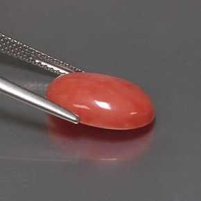 Coral Gemstone in 14 x 10 mm (calibrated) Size for Sale, Coral Stone in Salmon Color