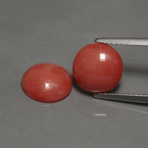 3.54 ct Pink Coral Gemstone, Coral Gem in Round Cabochon Shape for Sale.