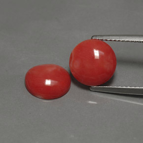 3.93 ct Pink Coral Stone, Natural Coral in Round Cabochon Shape for Sale