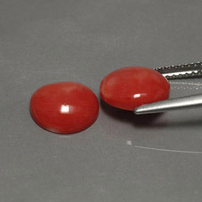 Coral Gemstone in 9 mm (calibrated) Size for Sale, Coral Stone in Salmon Color