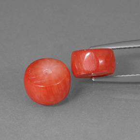 Coral Gemstone in 8.4 x 4.7 mm Size for Sale, Coral Stone in Salmon Color