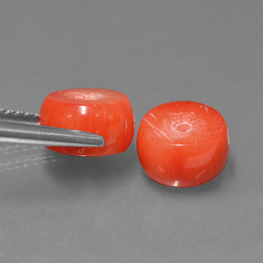 Coral Gemstone in 8.4 x 4.7 mm Size for Sale, Coral Stone in Salmon Color