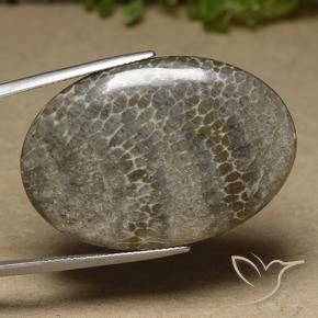 41.43 ct Multicolor Coral Stone, Natural Coral in Oval Cabochon Shape for Sale