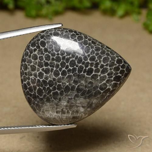 32.89 ct Multicolor Coral Stone, Natural Coral in Pear Cabochon Shape for Sale