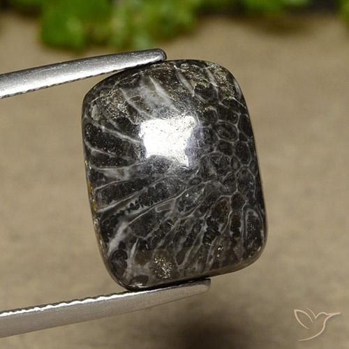 11.07ct Naturale Multicolore Corallo, Cuscino, Opaco, Photo A