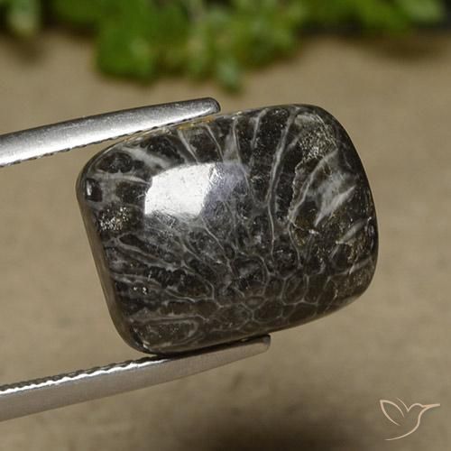 11.07 ct Multicolor Coral Stone, Natural Coral in Cushion Cabochon Shape for Sale