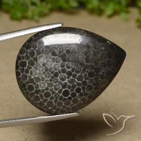 21.35 ct Multicolor Coral Stone, Natural Coral in Pear Cabochon Shape for Sale