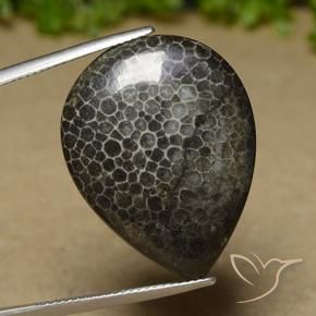 Coral Gemstone in 27.9 x 21.7 mm Size for Sale, Coral Stone in Multicolor Color