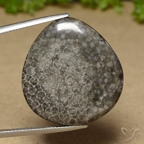 27.41ct Natural Multicolor Coral, Pear Shape, Opaque
