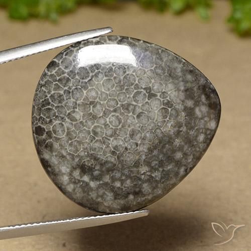 27.41 ct Multicolor Coral Stone, Natural Coral in Pear Cabochon Shape for Sale