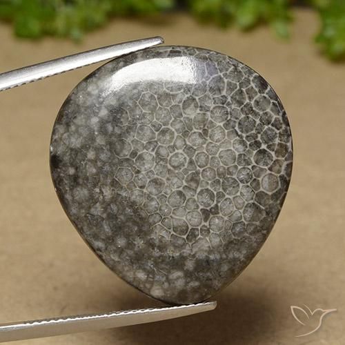 Coral Gemstone in 27.1 x 25.4 mm Size for Sale, Coral Stone in Multicolor Color