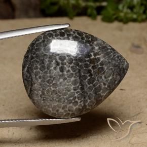 23.79 ct Multicolor Coral Stone, Natural Coral in Pear Cabochon Shape for Sale