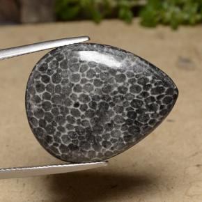 22.48 ct Multicolor Coral Stone, Natural Coral in Pear Cabochon Shape for Sale