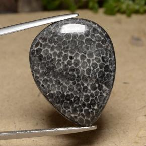 Coral Gemstone in 26.4 x 20.5 mm Size for Sale, Coral Stone in Multicolor Color