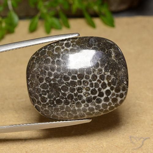 28.32 ct Multicolor Coral Stone, Natural Coral in Cushion Cabochon Shape for Sale