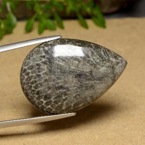 20.56 ct Multicolor Coral Stone, Natural Coral in Pear Cabochon Shape for Sale