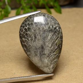 Coral Gemstone in 28.8 x 19.9 mm Size for Sale, Coral Stone in Multicolor Color