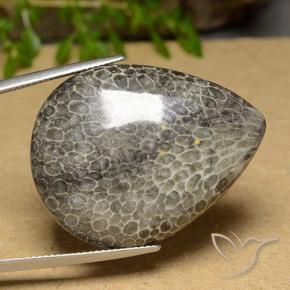45.60 ct Multicolor Coral Stone, Natural Coral in Pear Cabochon Shape for Sale