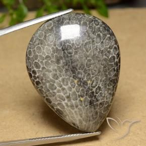 Coral Gemstone in 34.2 x 26.6 mm Size for Sale, Coral Stone in Multicolor Color