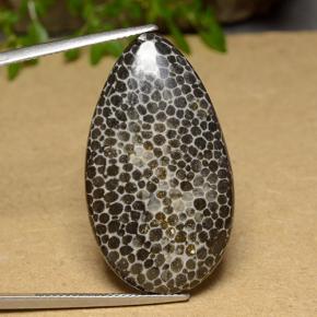 26.37 ct Multicolor Coral Gemstone, Coral Gem in Pear Cabochon Shape for Sale.