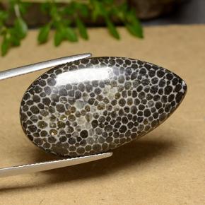 26.37 ct Multicolor Coral Stone, Natural Coral in Pear Cabochon Shape for Sale