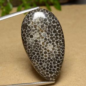 Coral Gemstone in 34.6 x 19.6 mm Size for Sale, Coral Stone in Multicolor Color