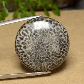30.46 ct Multicolor Coral Gemstone, Coral Gem in Round Cabochon Shape for Sale.