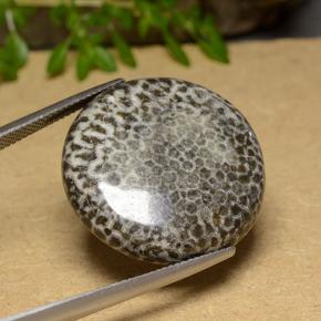 30.46 ct Multicolor Coral Stone, Natural Coral in Round Cabochon Shape for Sale