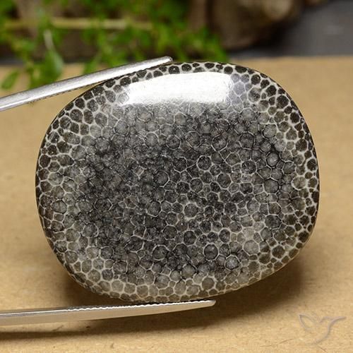 63.14 ct Multicolor Coral Stone, Natural Coral in Cushion Cabochon Shape for Sale