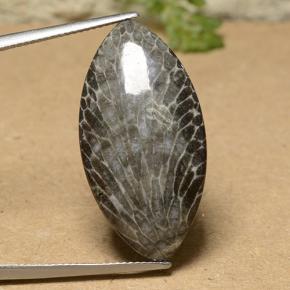 18.93 ct Multicolor Coral Gemstone, Coral Gem in Marquise Cabochon Shape for Sale.