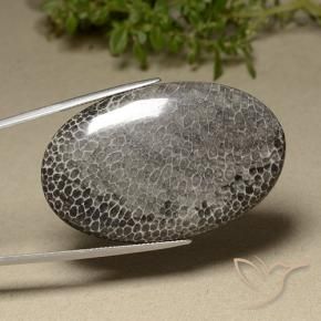 76.87 ct Multicolor Coral Stone, Natural Coral in Oval Cabochon Shape for Sale