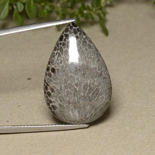 Multicolor Coral Gem - 21.6ct Pear Cabochon (ID: 491960)