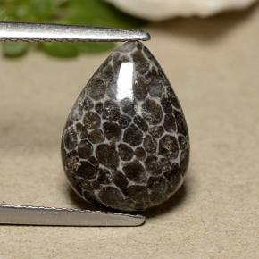 2.93 ct Gray Coral Gemstone, Coral Gem in Pear Cabochon Shape for Sale.