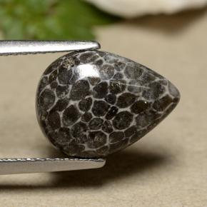 2.93 ct Gray Coral Stone, Natural Coral in Pear Cabochon Shape for Sale