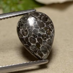 Coral Gemstone in 13 x 9.7 mm Size for Sale, Coral Stone in Gray Color