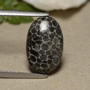 2.44 ct Gray Coral Gemstone, Coral Gem in Oval Cabochon Shape for Sale.