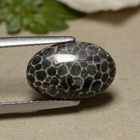 2.44 ct Gray Coral Stone, Natural Coral in Oval Cabochon Shape for Sale