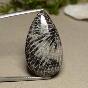 24.91 ct Gray Coral Gemstone, Coral Gem in Pear Cabochon Shape for Sale.