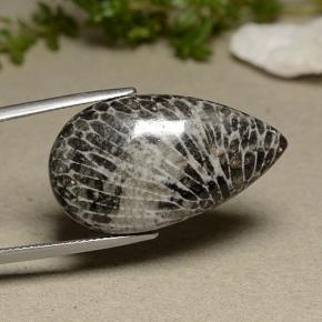 24.91 ct Gray Coral Stone, Natural Coral in Pear Cabochon Shape for Sale